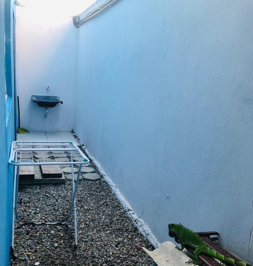 شقة Praia de Pipa  في Apartamento Blue Horse Pipa المظهر الخارجي الصورة
